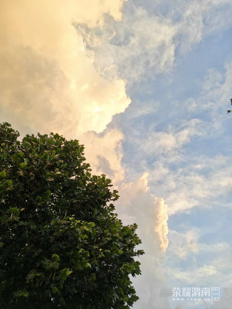 20260605182858front2_0_232640_FuRQRi04HWX6XpvaNy9MpXcBQ37r.jpg
