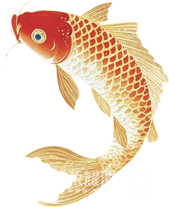 101251x8z6yk6ak8hwete3.png
