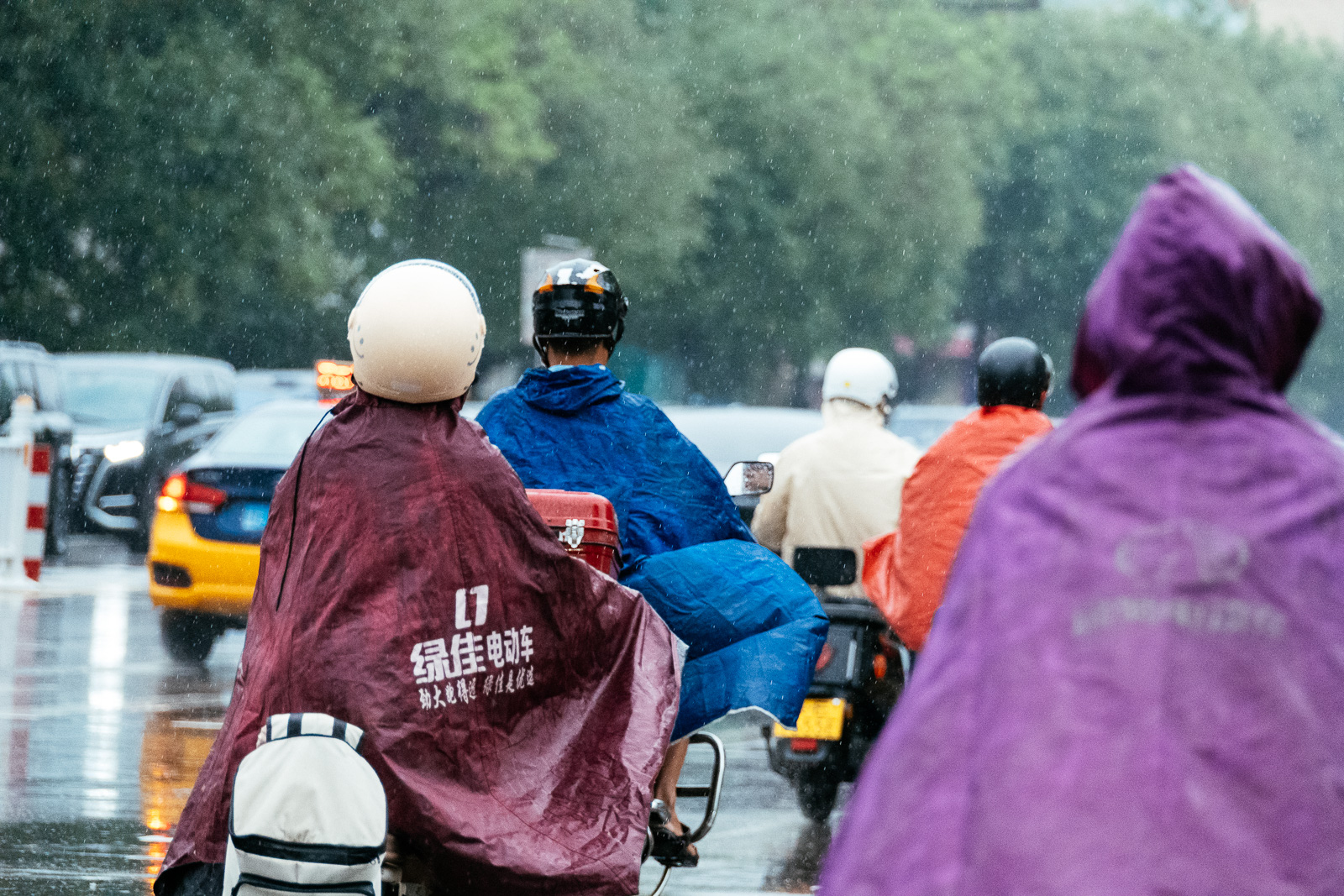_ZFF4289.jpg