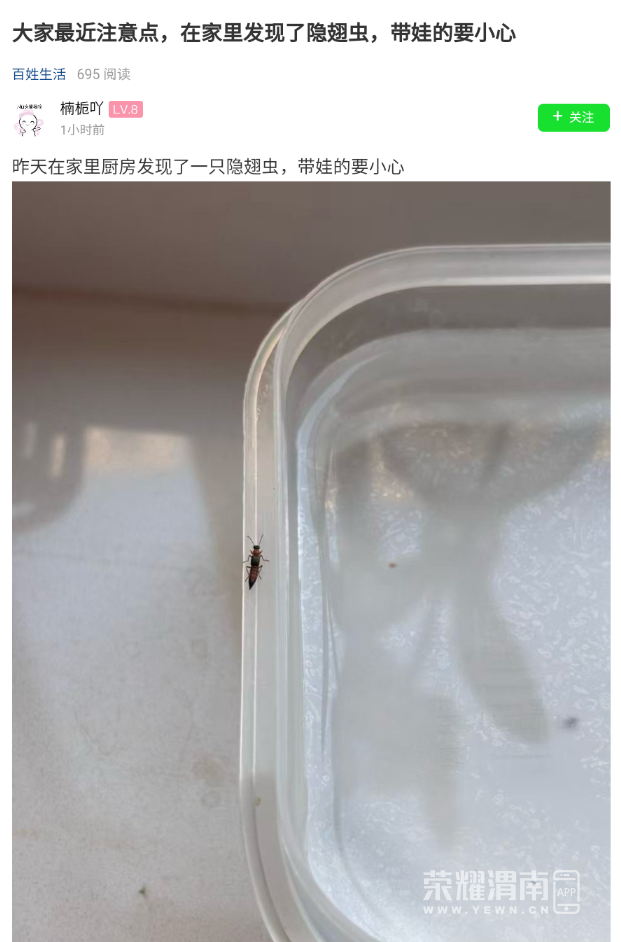 110832lot870zospqopp0s.png