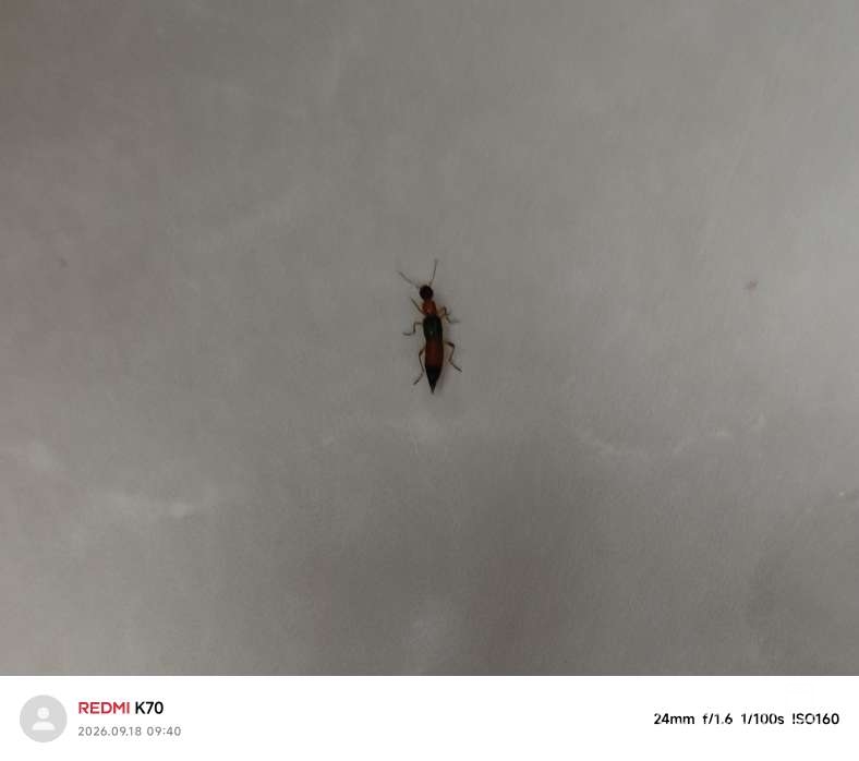 20260918095212front2_0_113338_FgvNFSK5kDwbMBZ4qF6JusIa7k-_.jpg