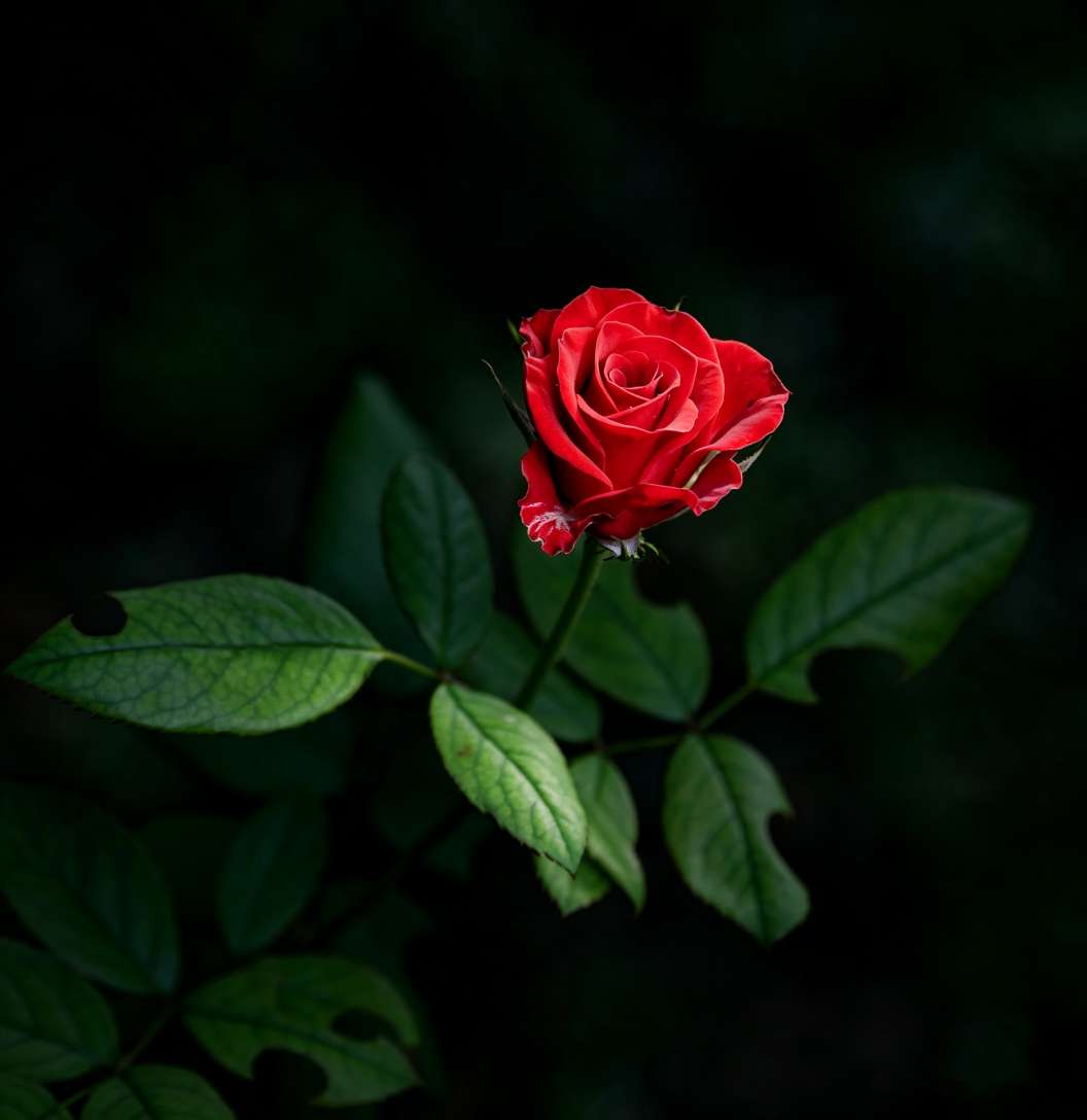 20260918192113front2_0_161040_FghGJ2DBEZ-p98Y6l5BpZz9XS76t.jpg