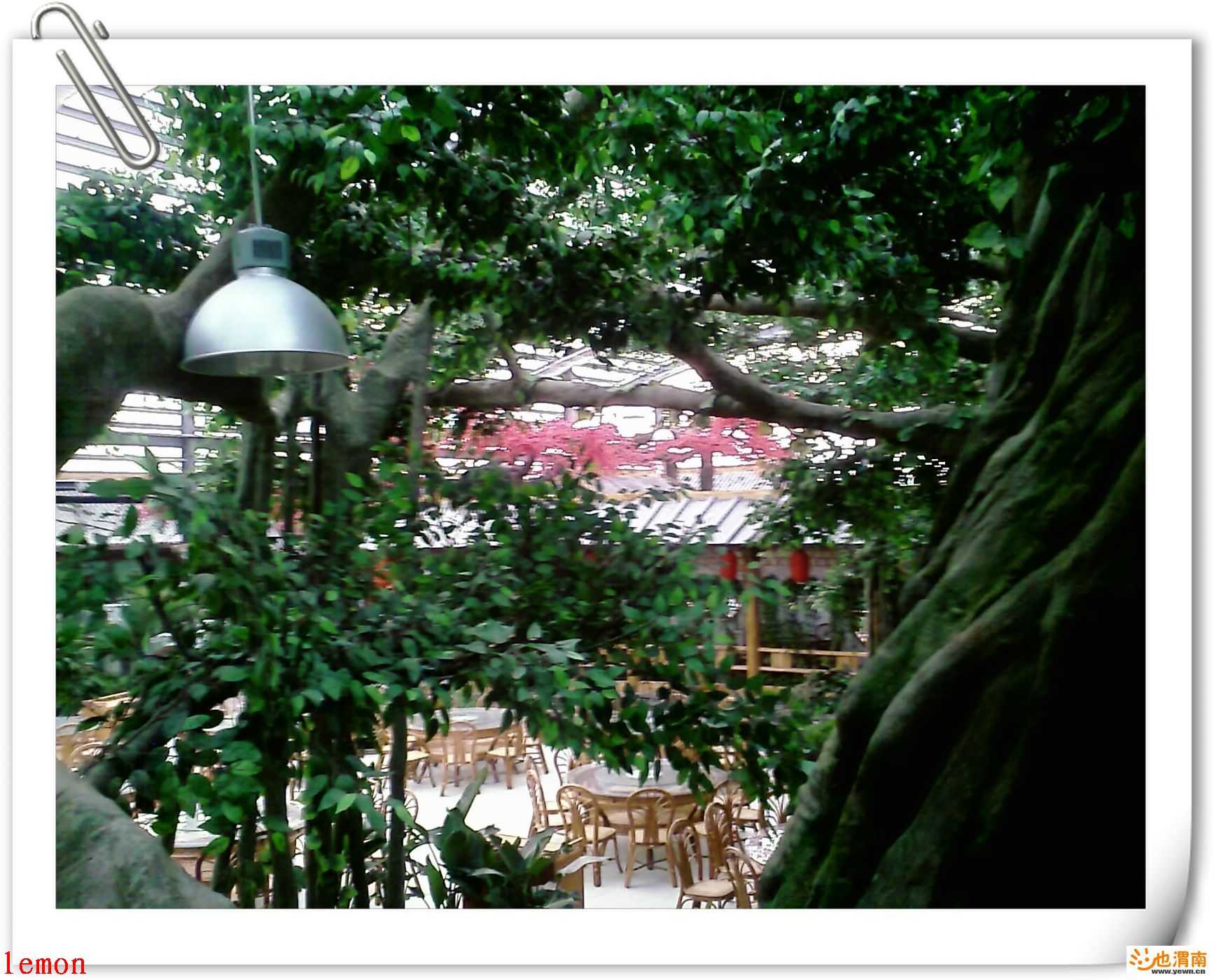 200812151708_305.jpg