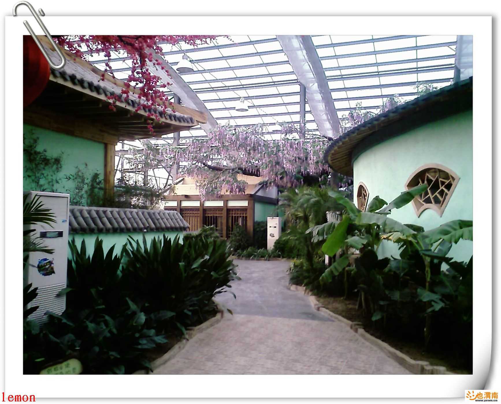 200812151713_319.jpg