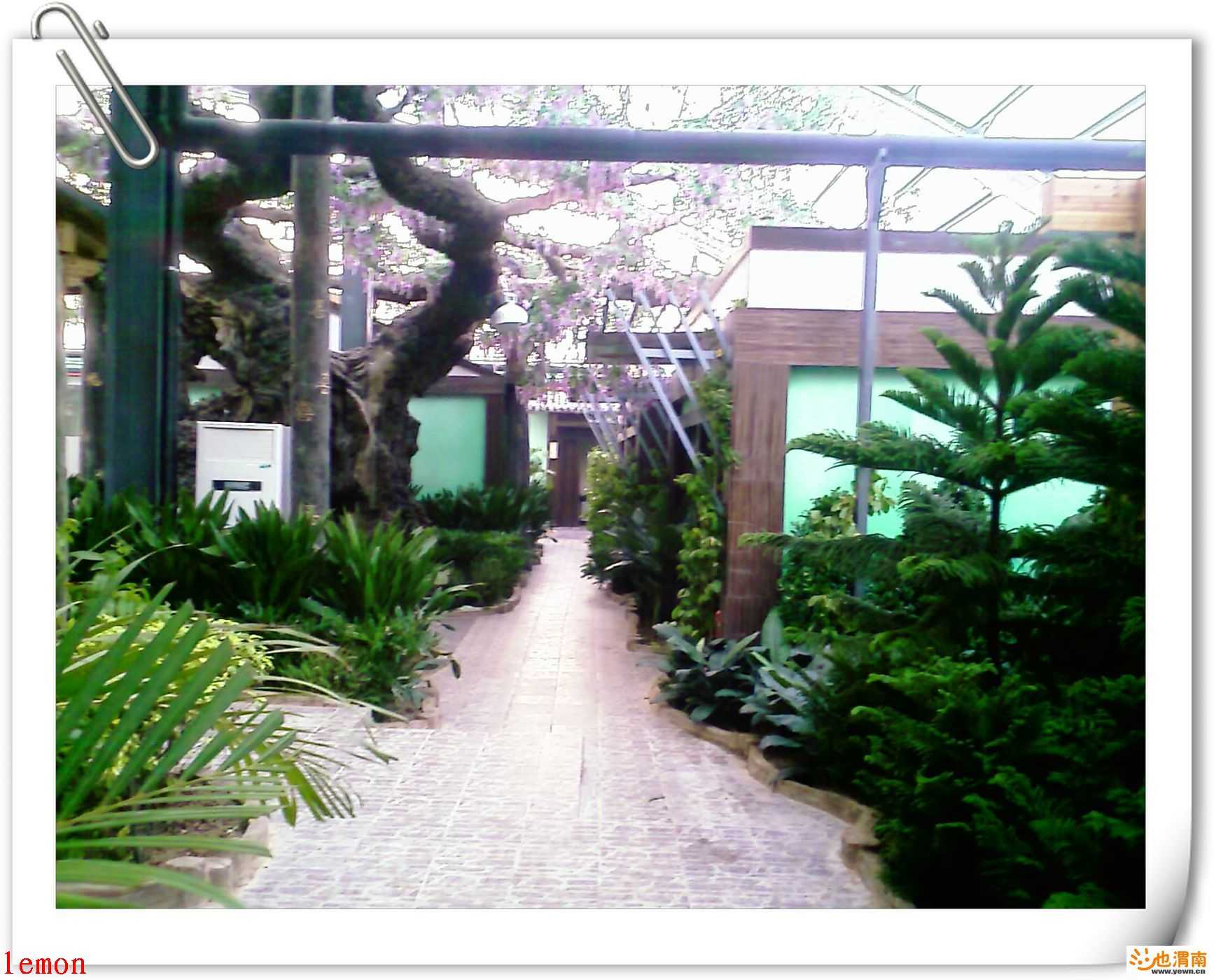 200812151709_309.jpg