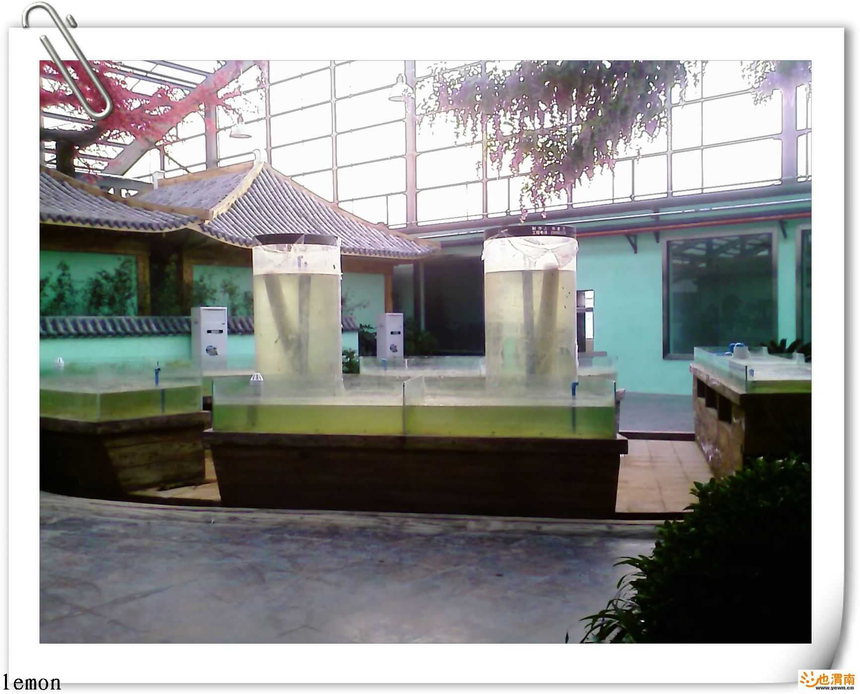 200812151710_312.jpg