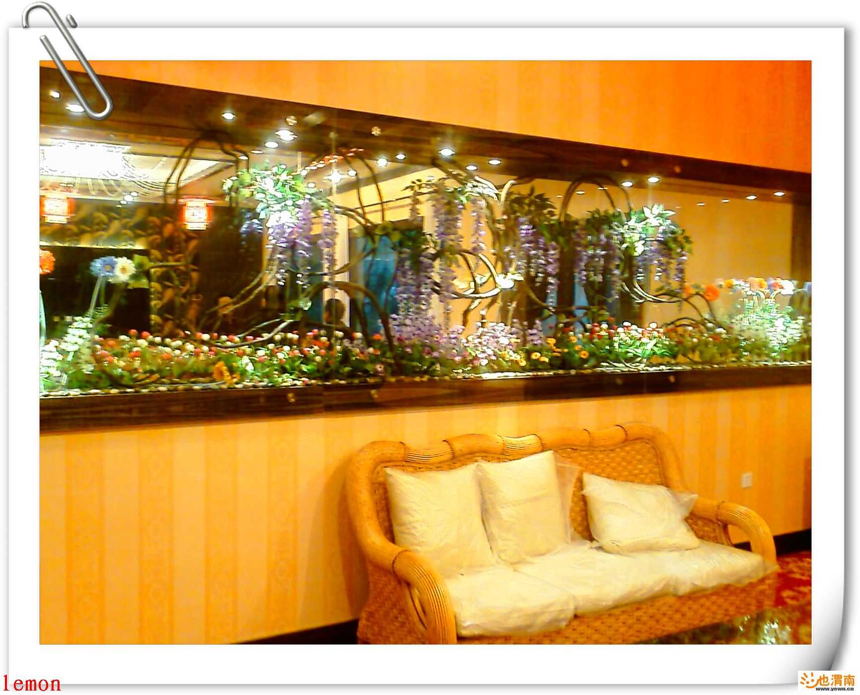 200812151724_331.jpg