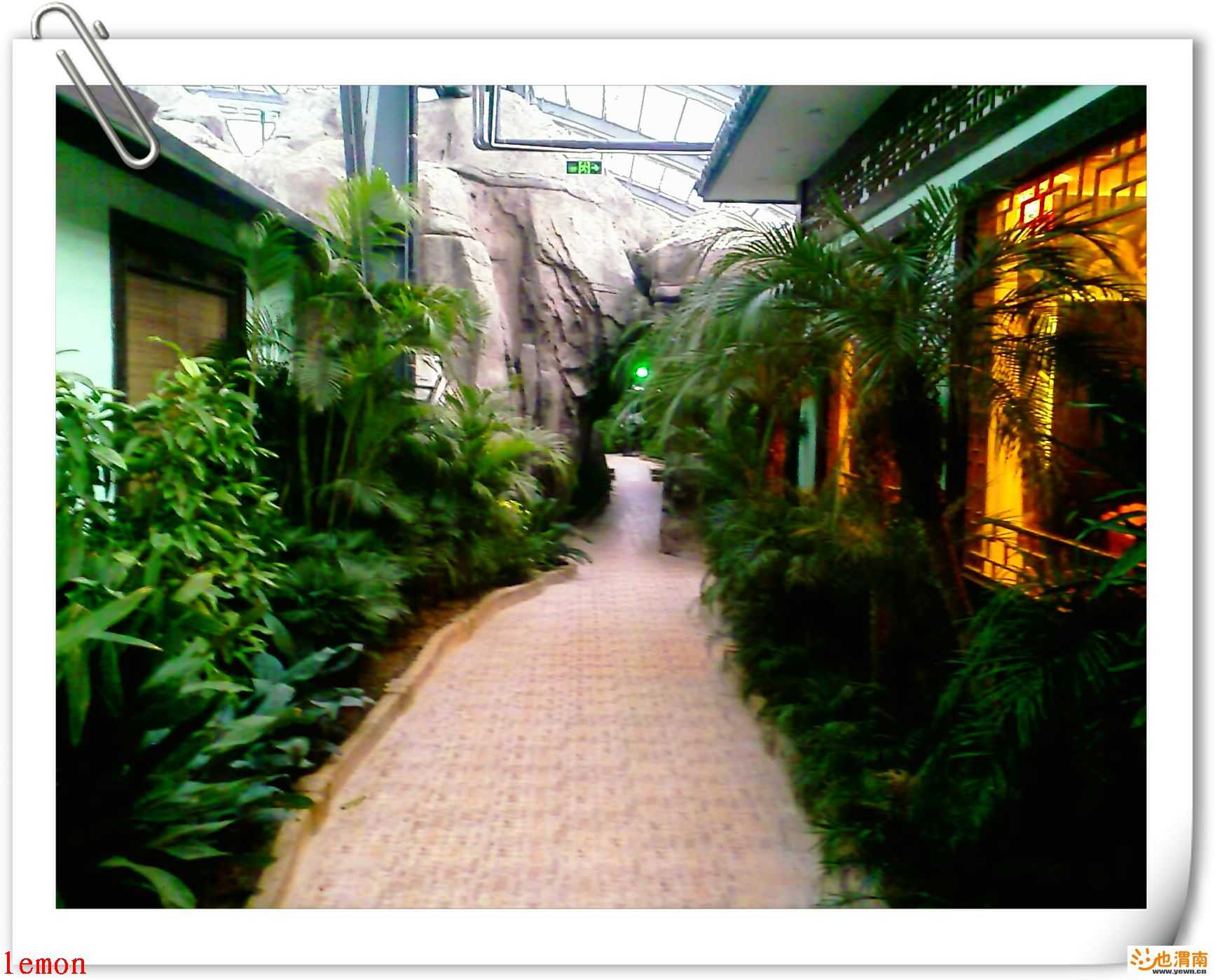 200812151727_334.jpg