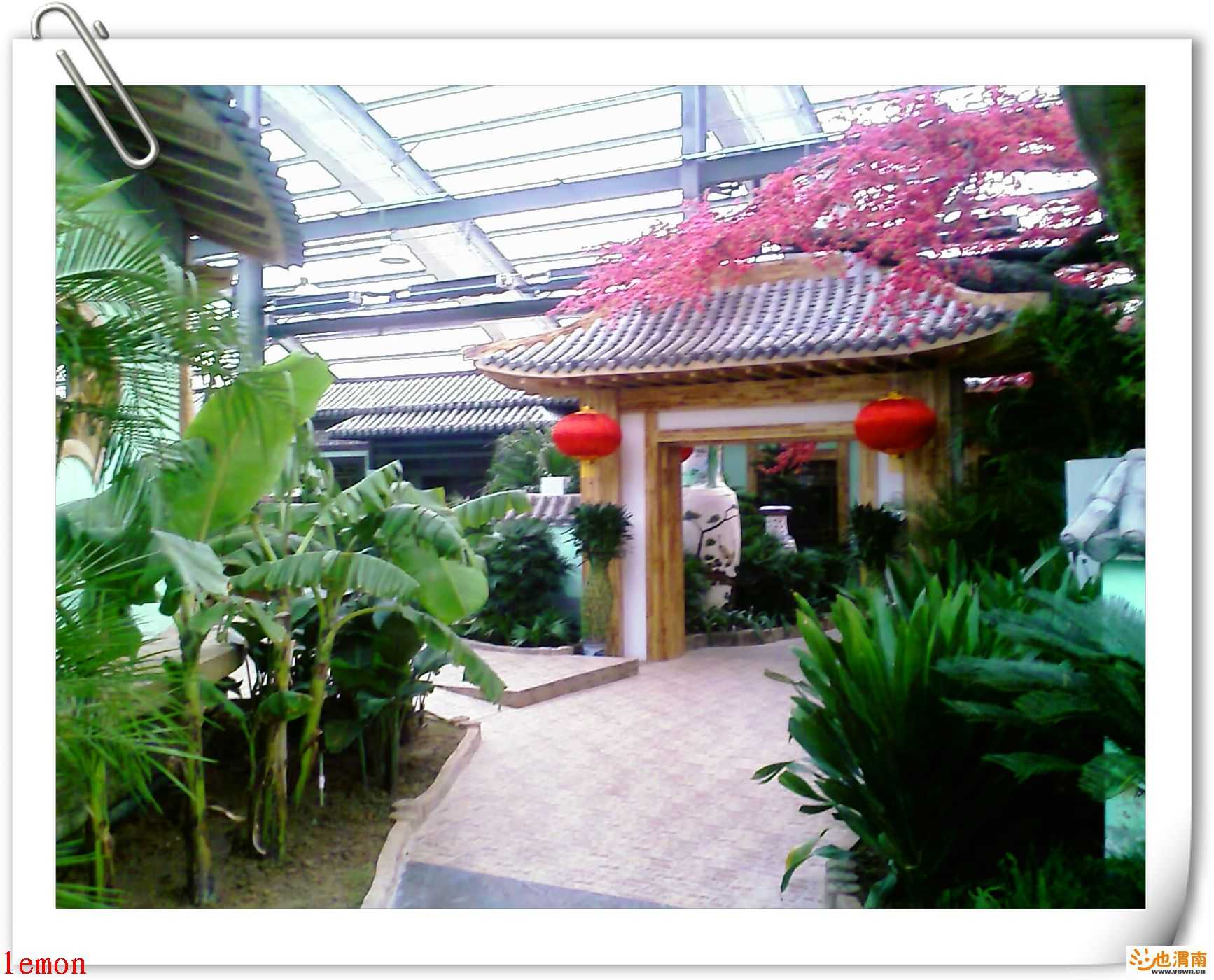200812151710_314.jpg