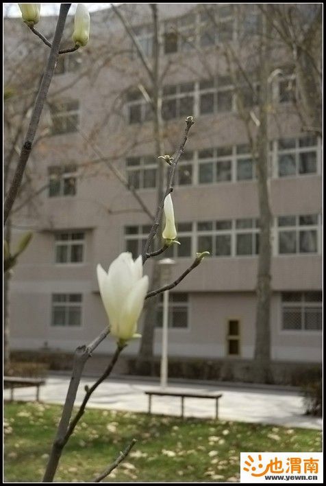 _DSC0072.jpg