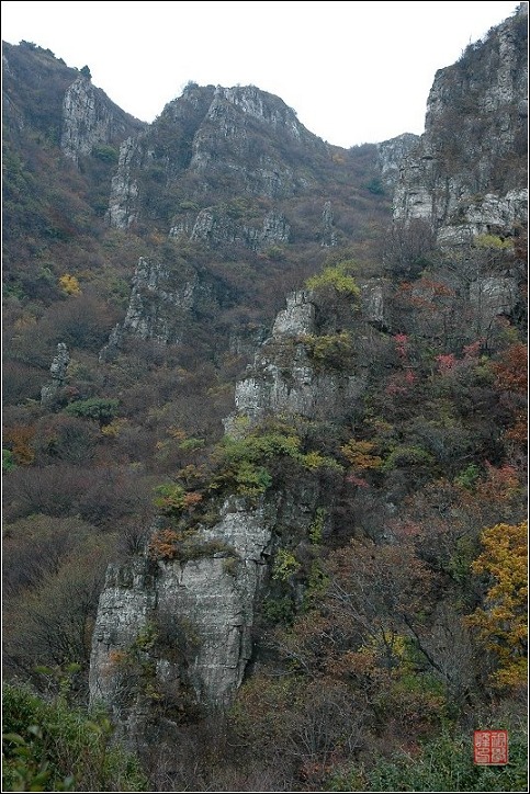 25.JPG