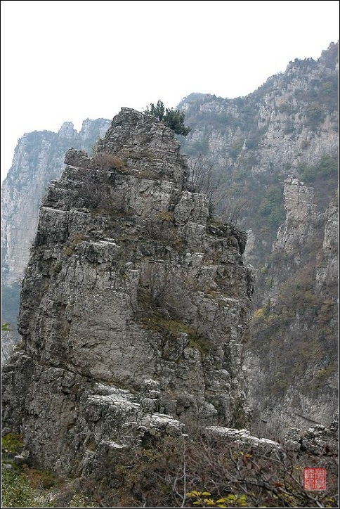 21.JPG