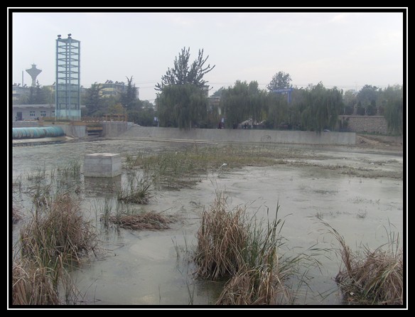 沋河公園裡孤獨的身影_攝影天地_榮耀渭南網