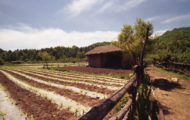 Pim0026.jpg