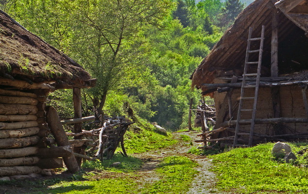 Pim0023.jpg