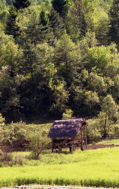 Pim0025.jpg