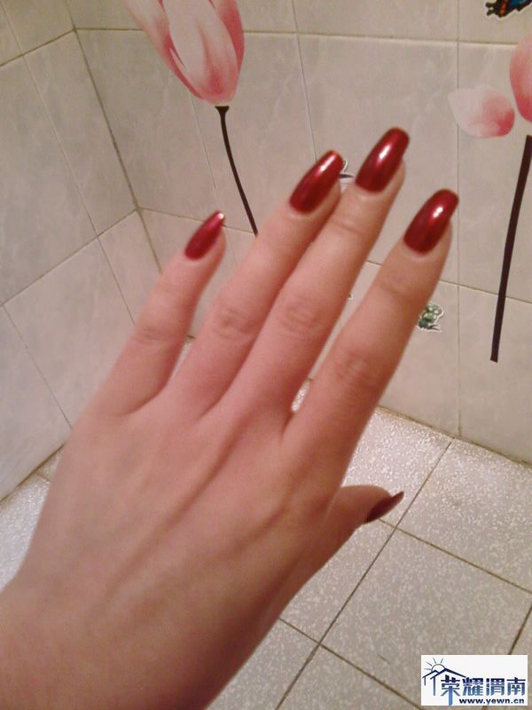 20091224.jpg