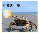��¥��һ��.png