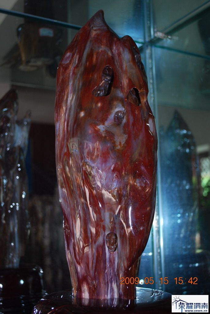 DSC_0131.JPG