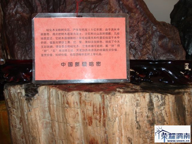 DSC01034.JPG