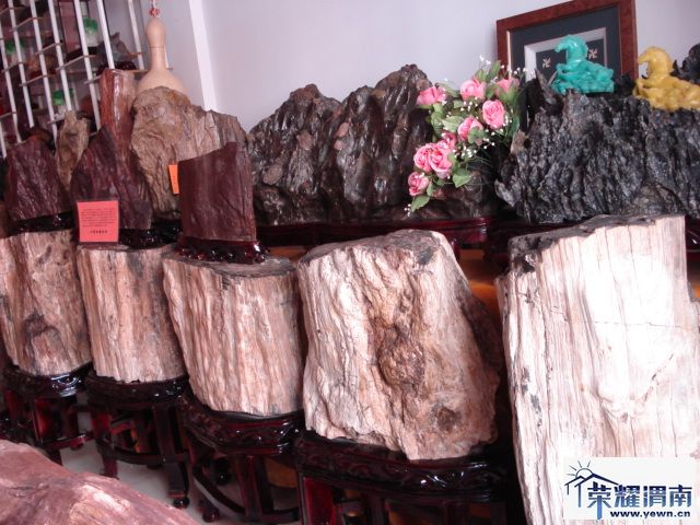 DSC01033.JPG