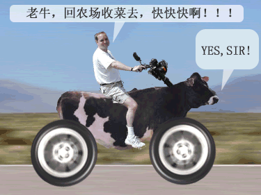 200910921221782[1].gif