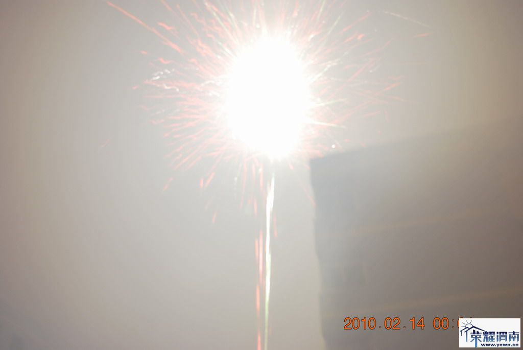 DSC_3336.JPG
