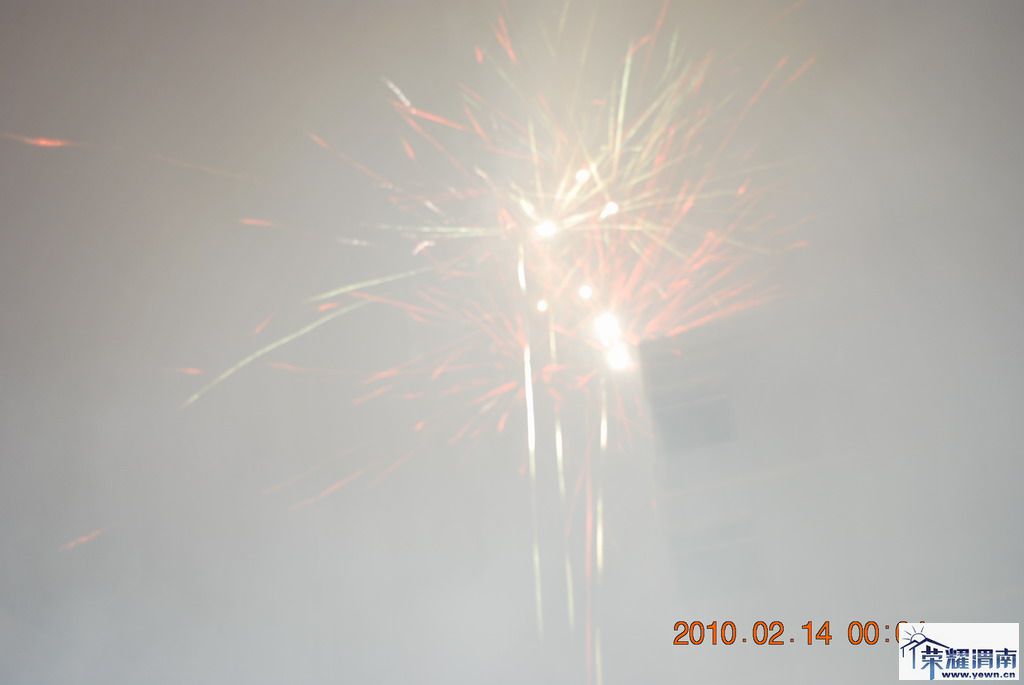 DSC_3335.JPG