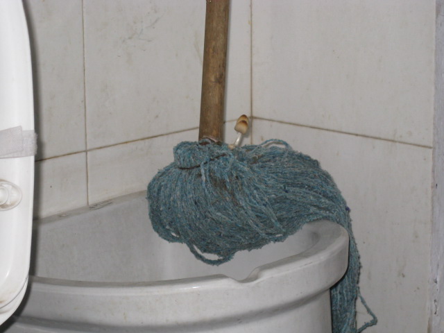 8.JPG