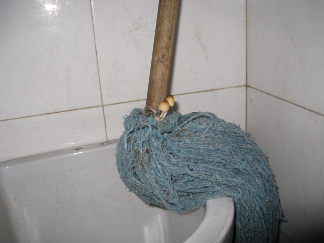 7.JPG