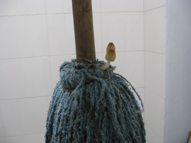 6.JPG