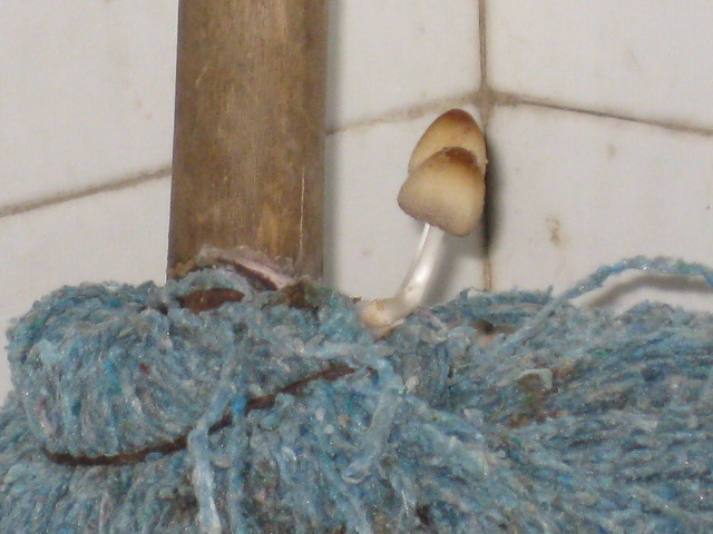 11.JPG