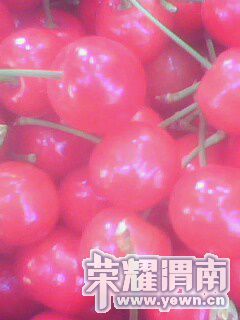 IMG0126A.jpg