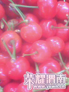 IMG0125A.jpg