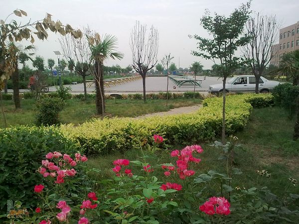 ͼ��2065.jpg