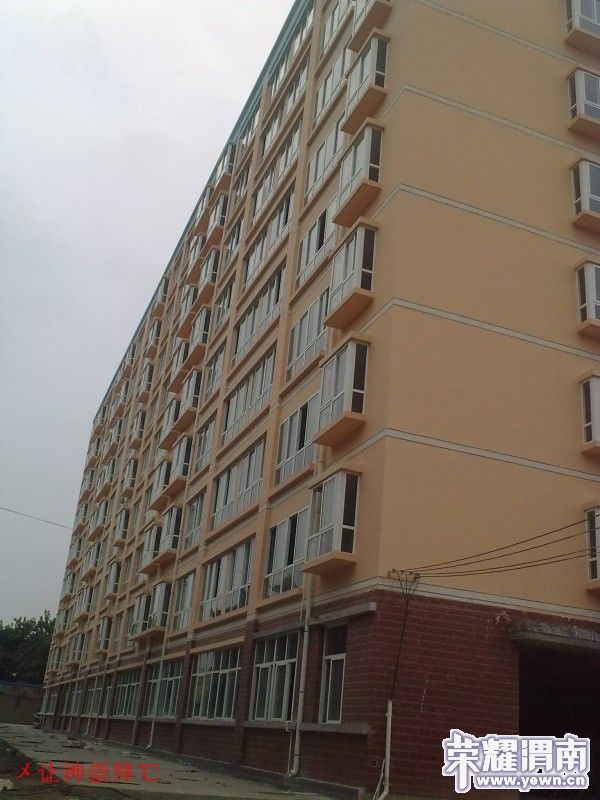 conew_201008011808.jpg