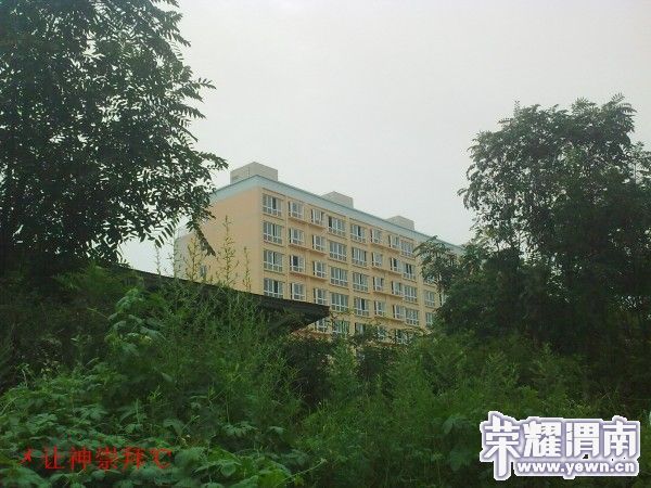 conew_201008011806.jpg