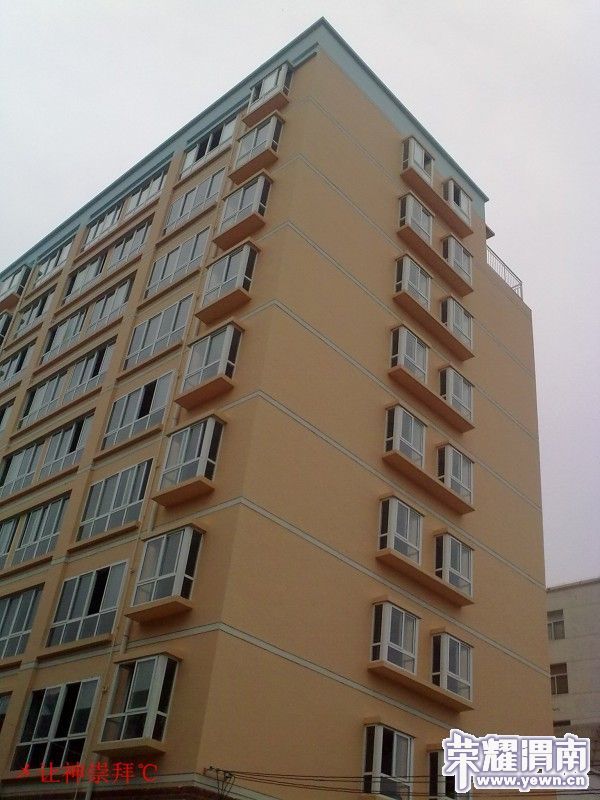 conew_201008011807.jpg