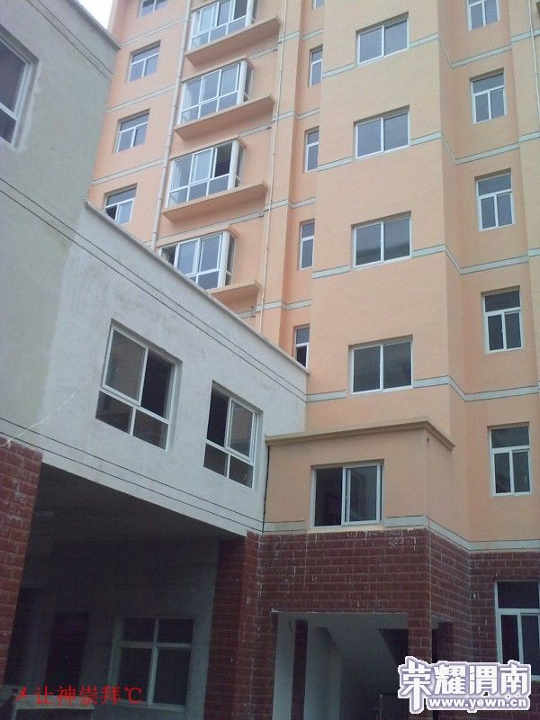 conew_201008011810.jpg