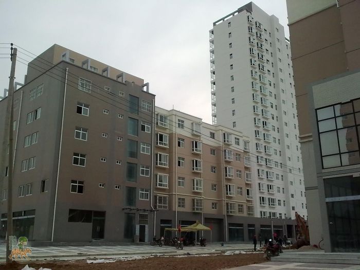 ͼ��2607.jpg